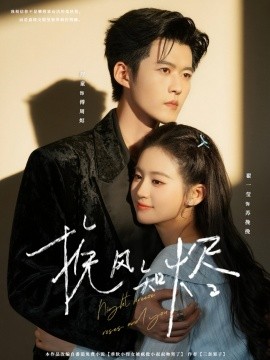 挽风知烬(全集)