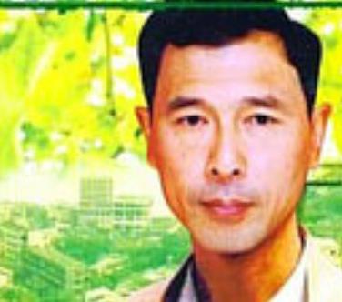 夏季无风(全集)